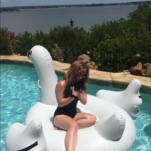 Meet your Posher, Casey